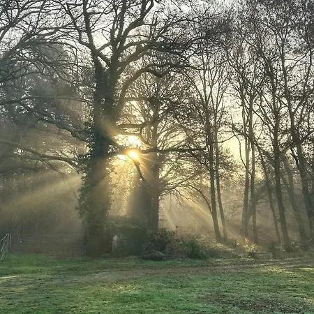 Maison Dans Les Bois 펜션 Lacquy