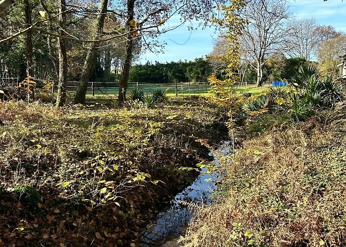 Maison Dans Les Bois Semesterbostad