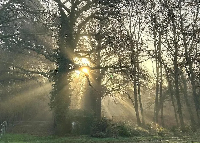 Maison Dans Les Bois Semesterbostad Lacquy