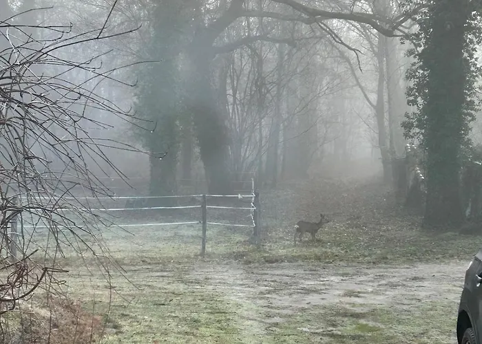 Maison Dans Les Bois * Lacquy